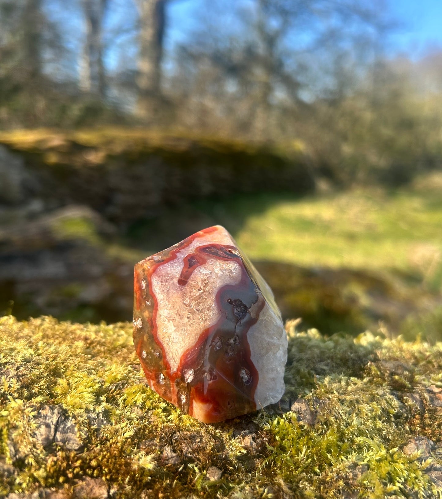 Red Moss Agate Druzy Freeform