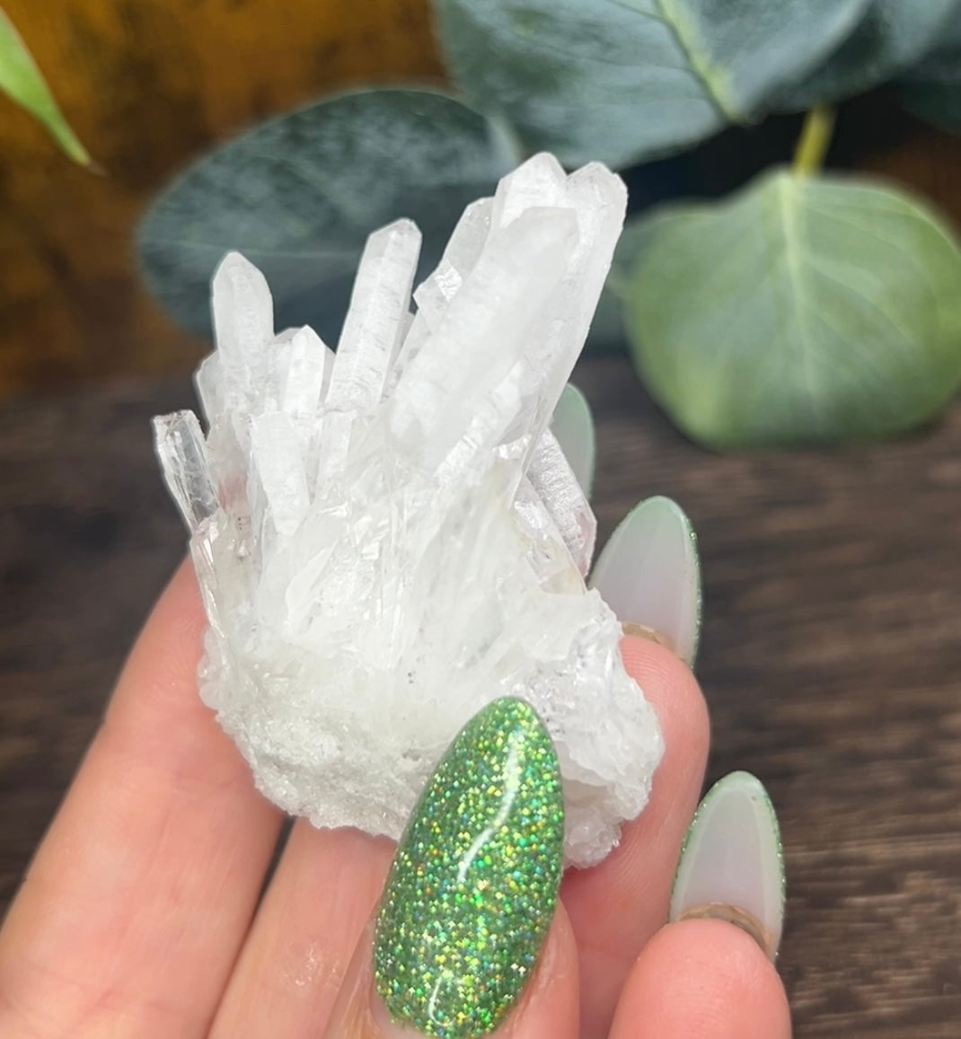 Quartz Needle Point Cluster Specimen