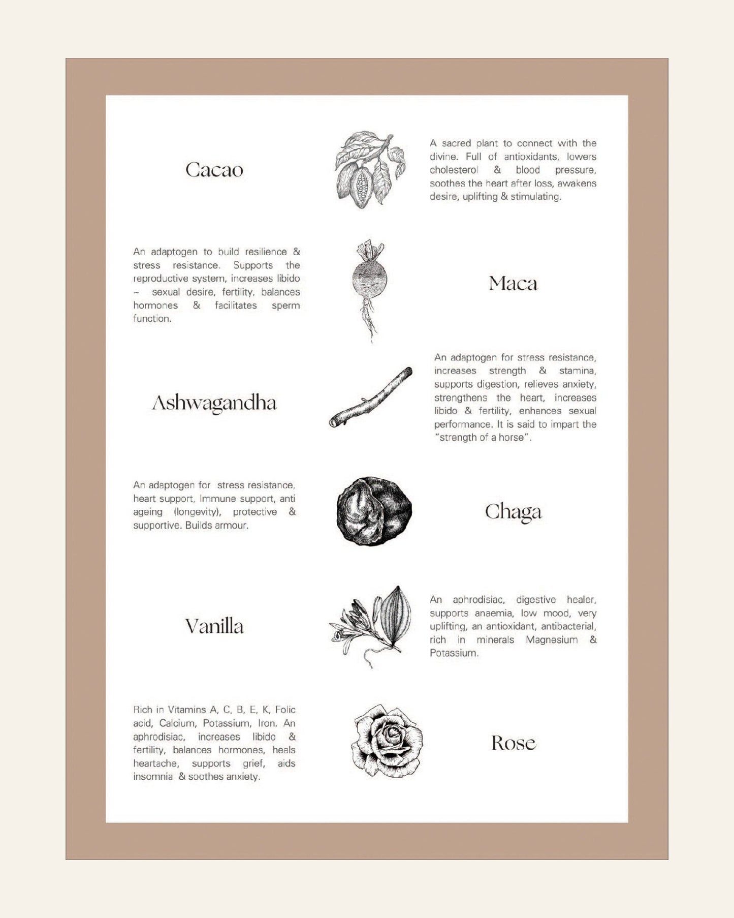 Aphrodite Cacao Drink with Adaptogenic Mushrooms expiry 09/25