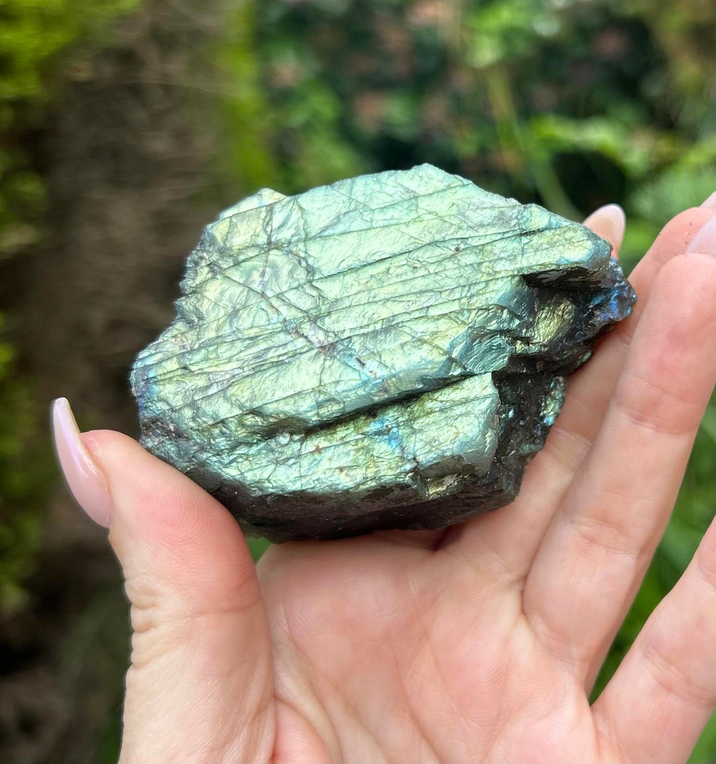 Large Green / Blue Labradorite Raw Crystal Stone